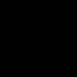 Meet your Posher, Oscar